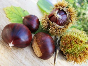 chestnuts-58410_640