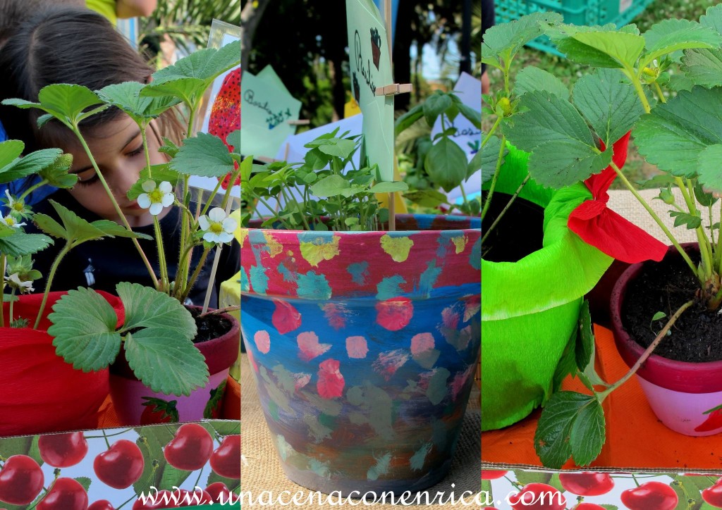 Decorazione dei propri vasi di piante da parte dei bambini delle elementari