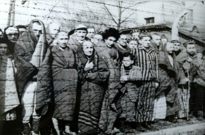Auschwitz_Liberated_January_1945