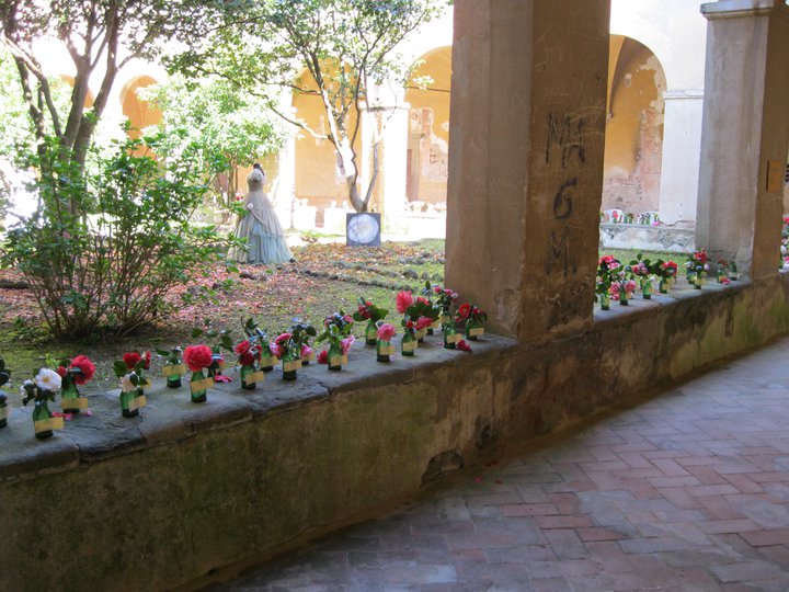 Camelie nel chiostro