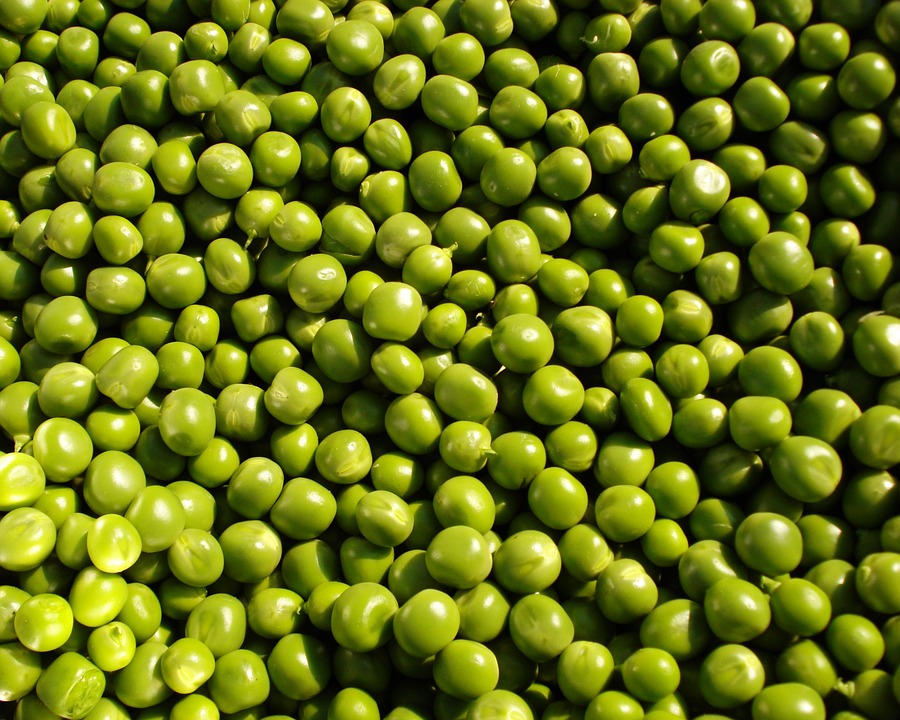 peas-115951_960_720