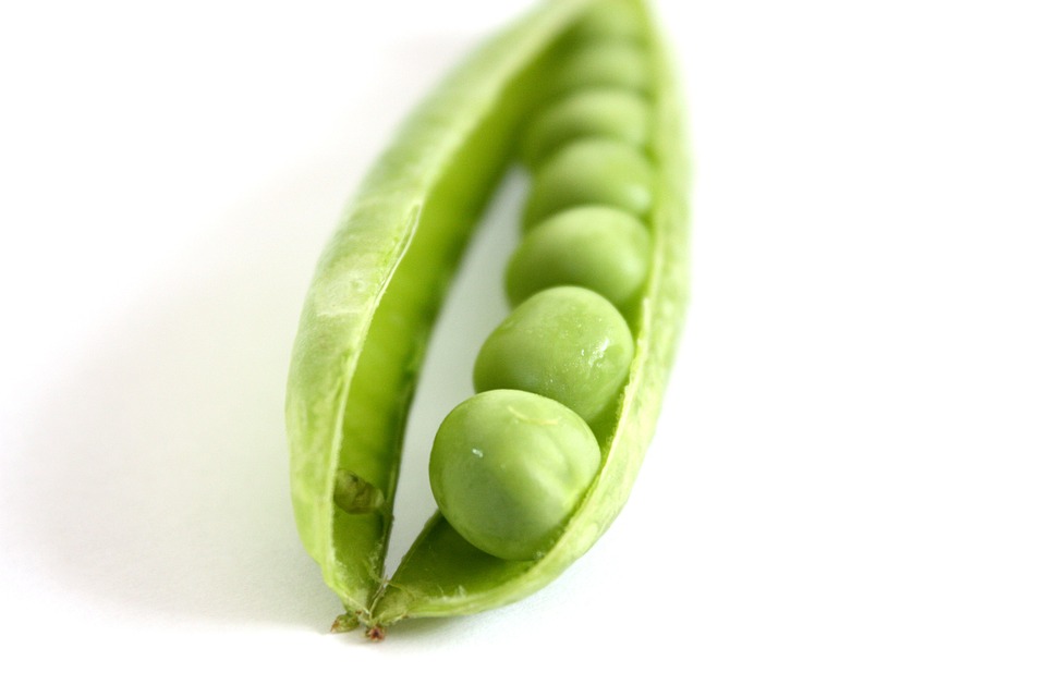 peas-2685_960_720