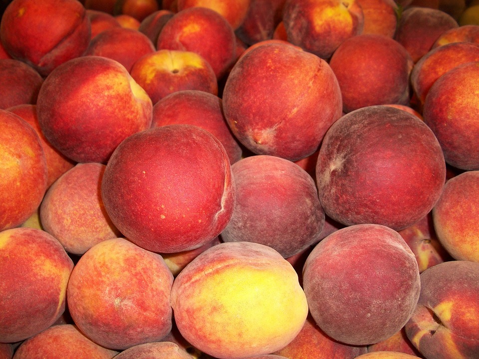 peach-14416_960_720