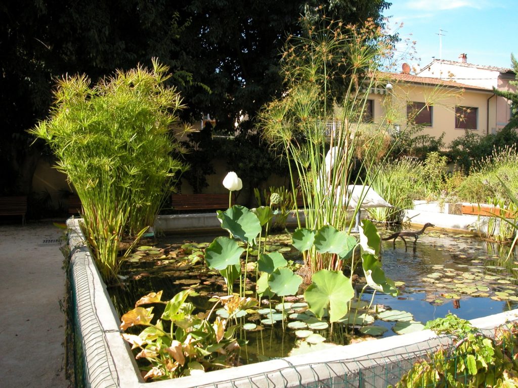 Parco SS. Cosma e Damiano