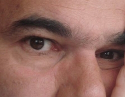 Stefano Bacci